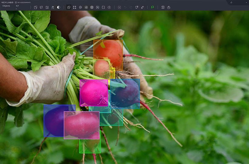 Data annotation