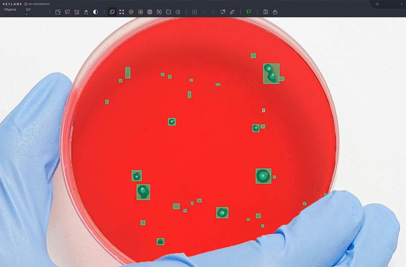 Data annotation