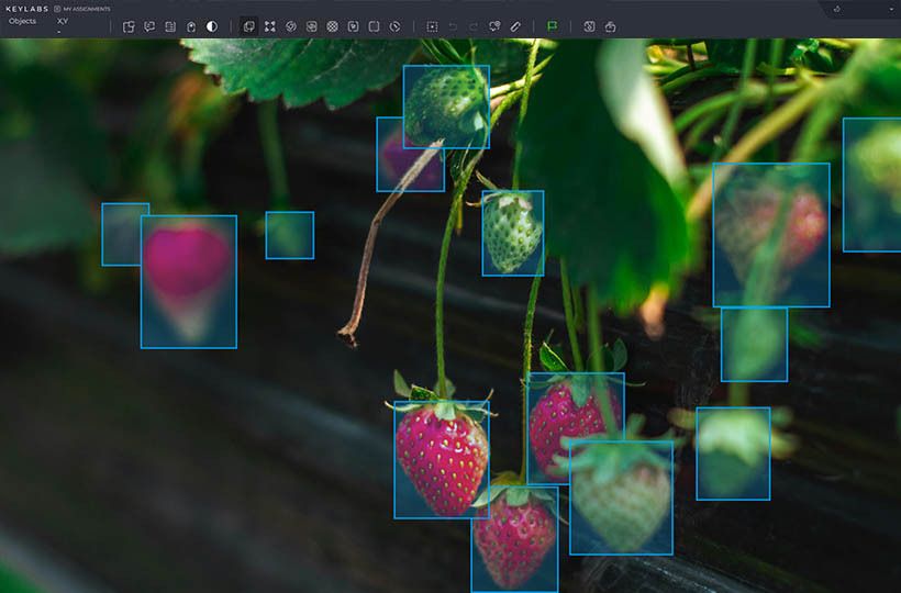 Computer Vision