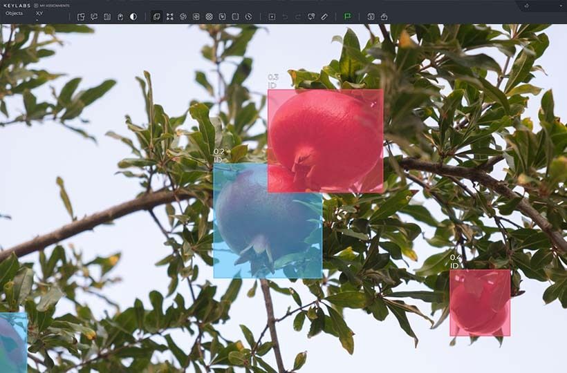 Computer Vision