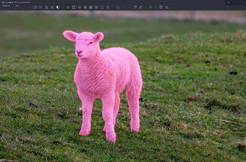 Machine Learning