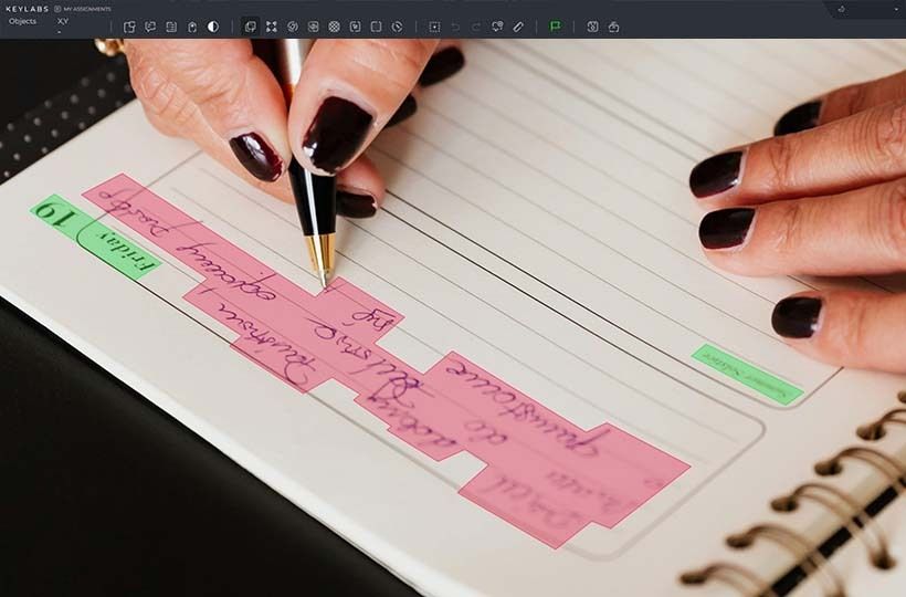 Data Annotation