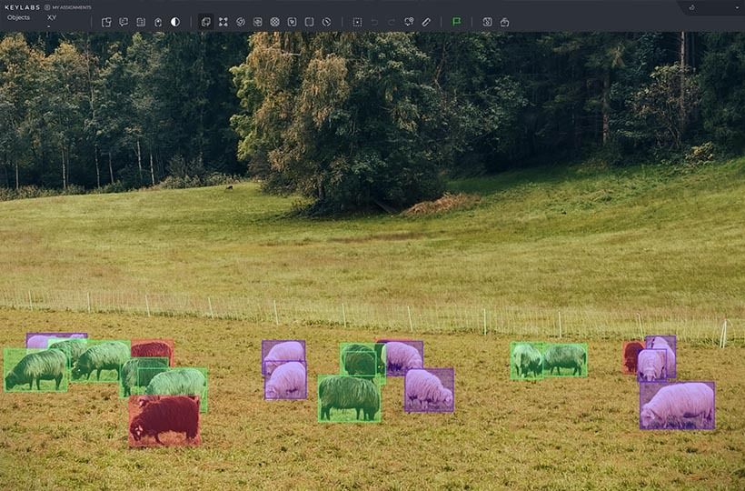 Computer Vision
