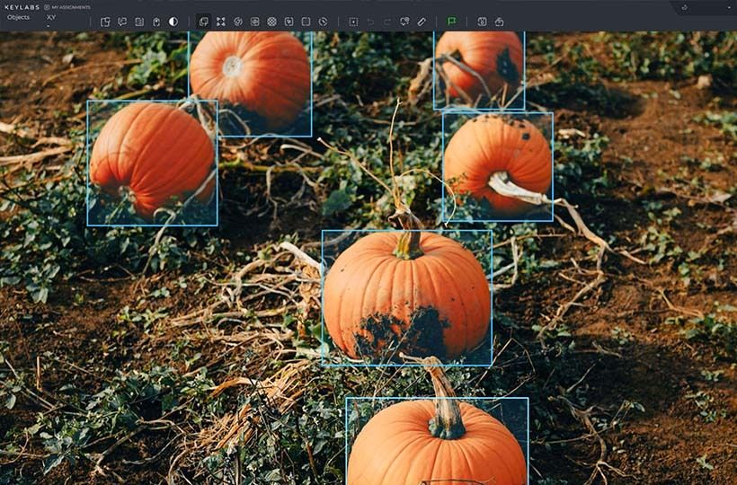 Computer Vision 